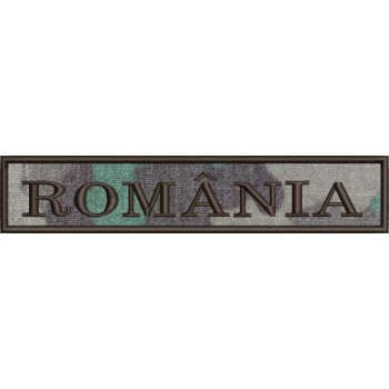 ECUSON ROMANIA COMBAT FORTELE TERESTRE | ECUSON ROMANIA COMBAT MAPN